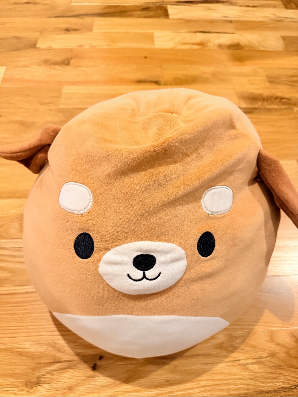 Squishmallow | Brown Puppy | Large 16”